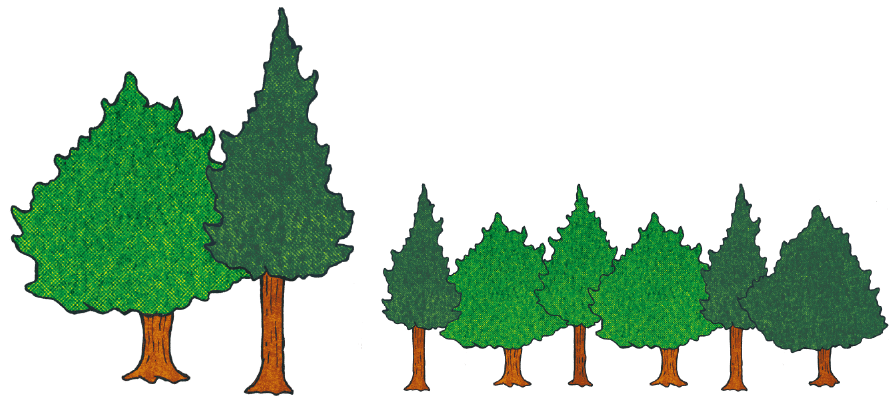 葉や枝、根まで樹木をまるごとリサイクル。安全・安心な原材料として、幅広い領域で利用。